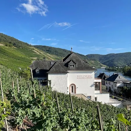 The Vineyard View Apartment