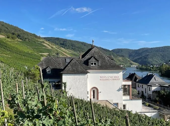 The Vineyard View 아파트